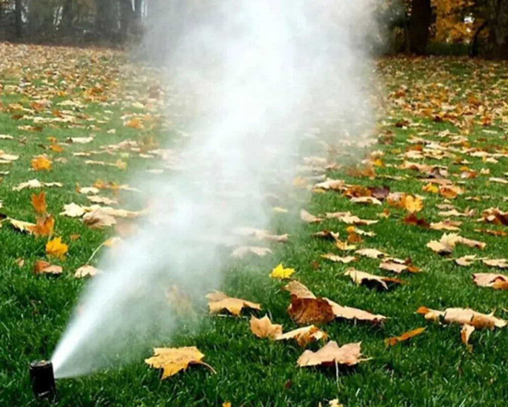 Professional outdoor landscaping in Kirkland, WA by GoGreen Landscaping