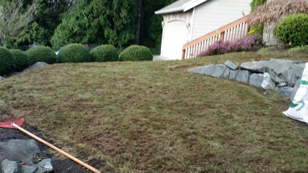 Expert outdoor landscaping experts serving Kirkland, WA - GoGreen Landscaping