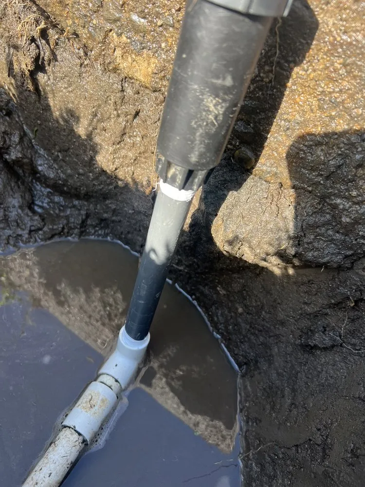 Expert landscape installation experts serving Woodlake, CA - Gogreen Landscaping