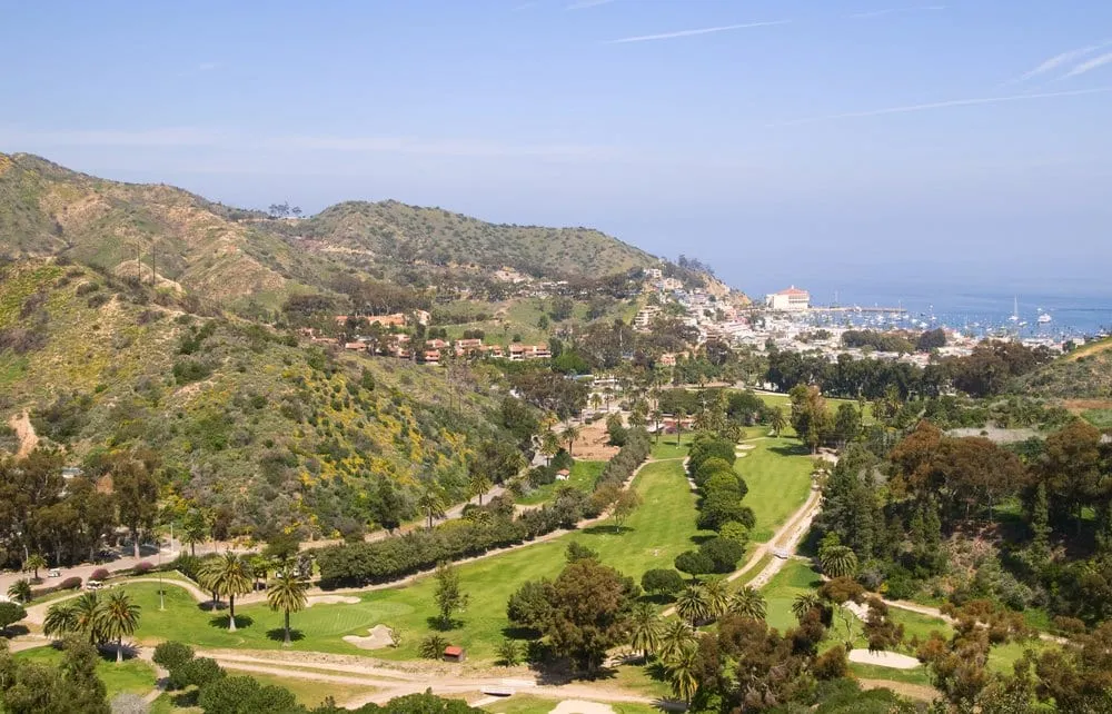 Top-rated lawn care service for homes across Woodlake, CA - Gogreen Landscaping