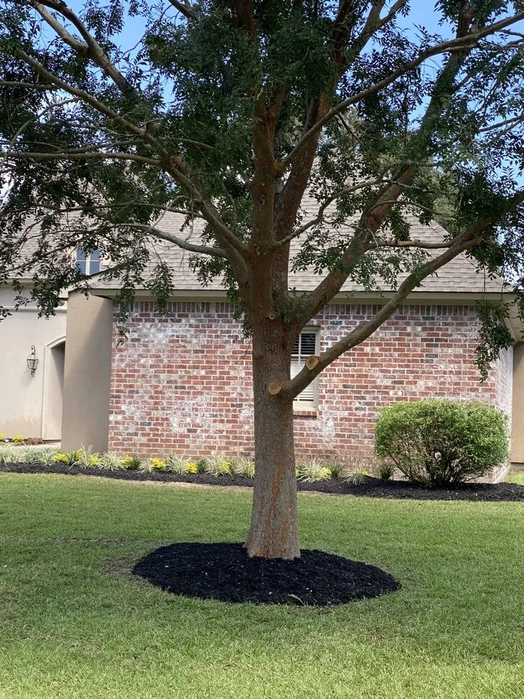 Affordable residential landscaping experts serving Maurepas, LA - GoGreen Lawn Service