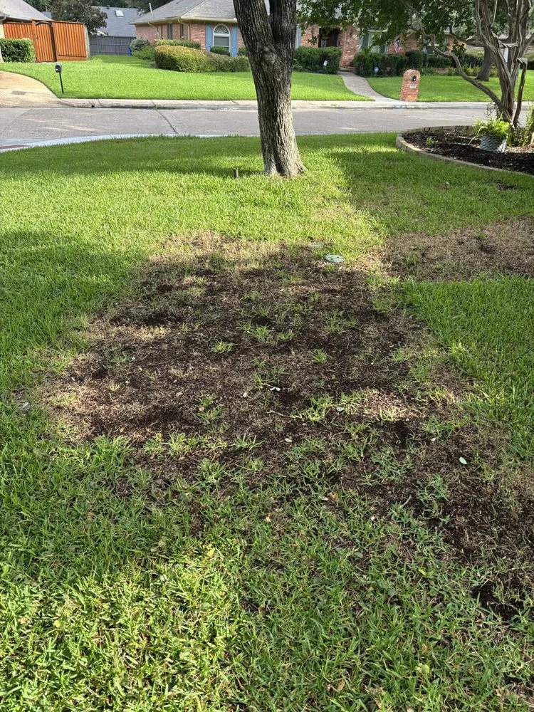Local yard cleanup service for residential properties in Maurepas, LA by GoGreen Lawn Service