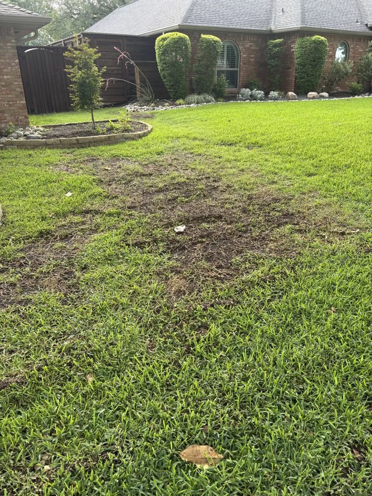 Reliable lawn mowing service in Maurepas, LA - GoGreen Lawn Service