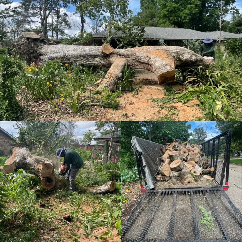Professional landscaping services in Maurepas, LA - GoGreen Lawn Service