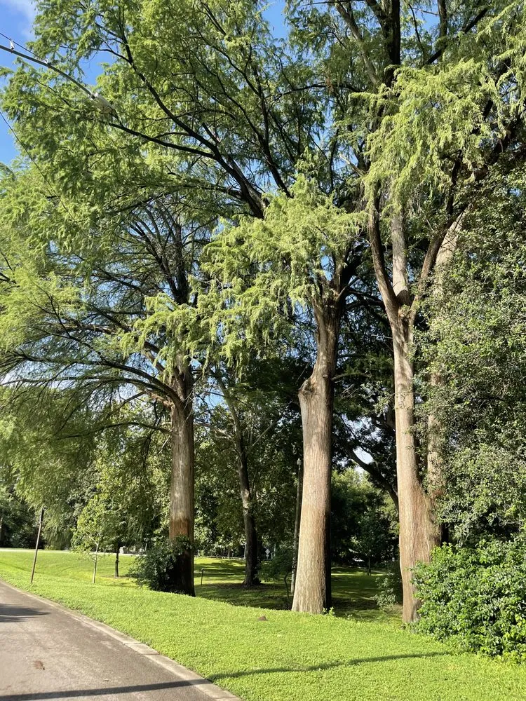 Local lawn care service in New Braunfels, TX by GoGruene Landscape