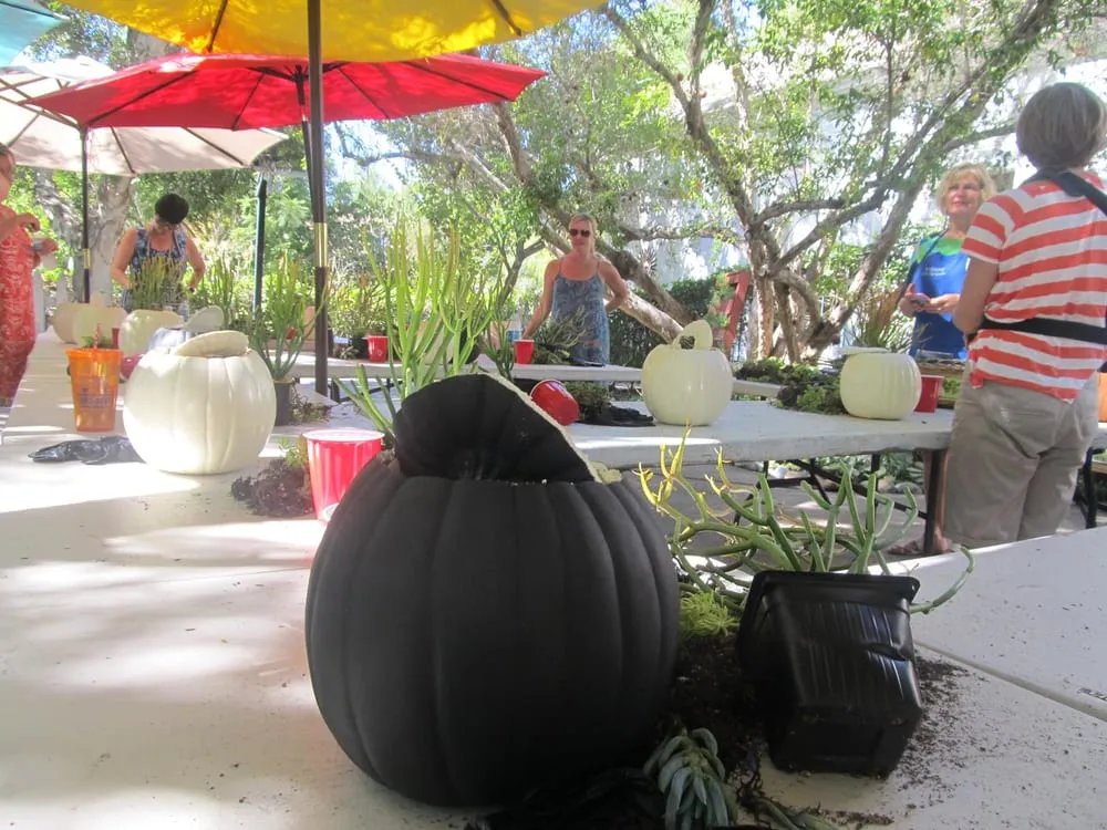 Expert yard maintenance experts serving San Juan Capistrano, CA - Goin Native Therapeutic Gardens