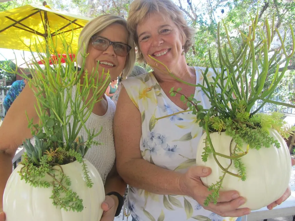 Expert yard cleanup service experts serving San Juan Capistrano, CA - Goin Native Therapeutic Gardens