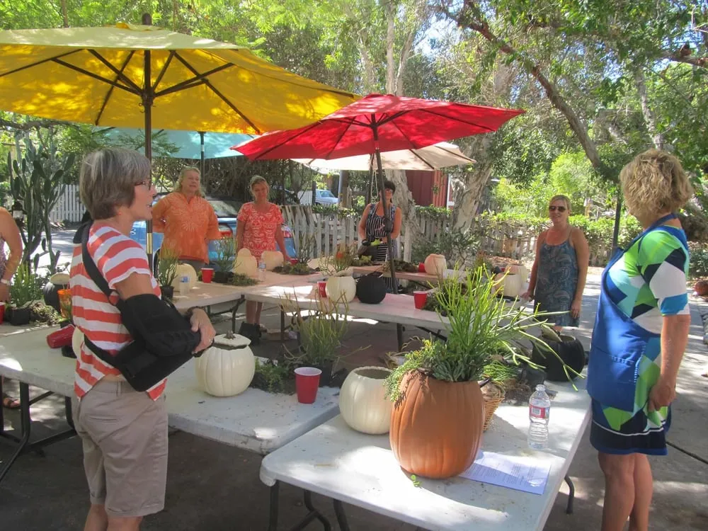 Professional garden landscaping experts serving San Juan Capistrano, CA - Goin Native Therapeutic Gardens