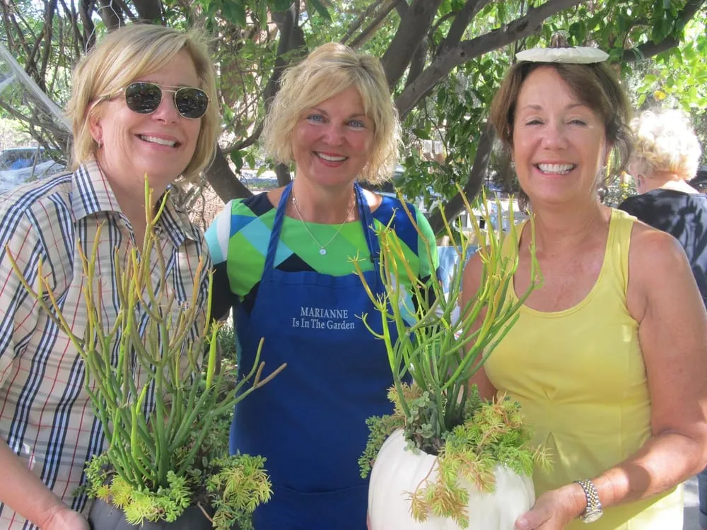 Professional landscape installation for homes in San Juan Capistrano, CA by Goin Native Therapeutic Gardens