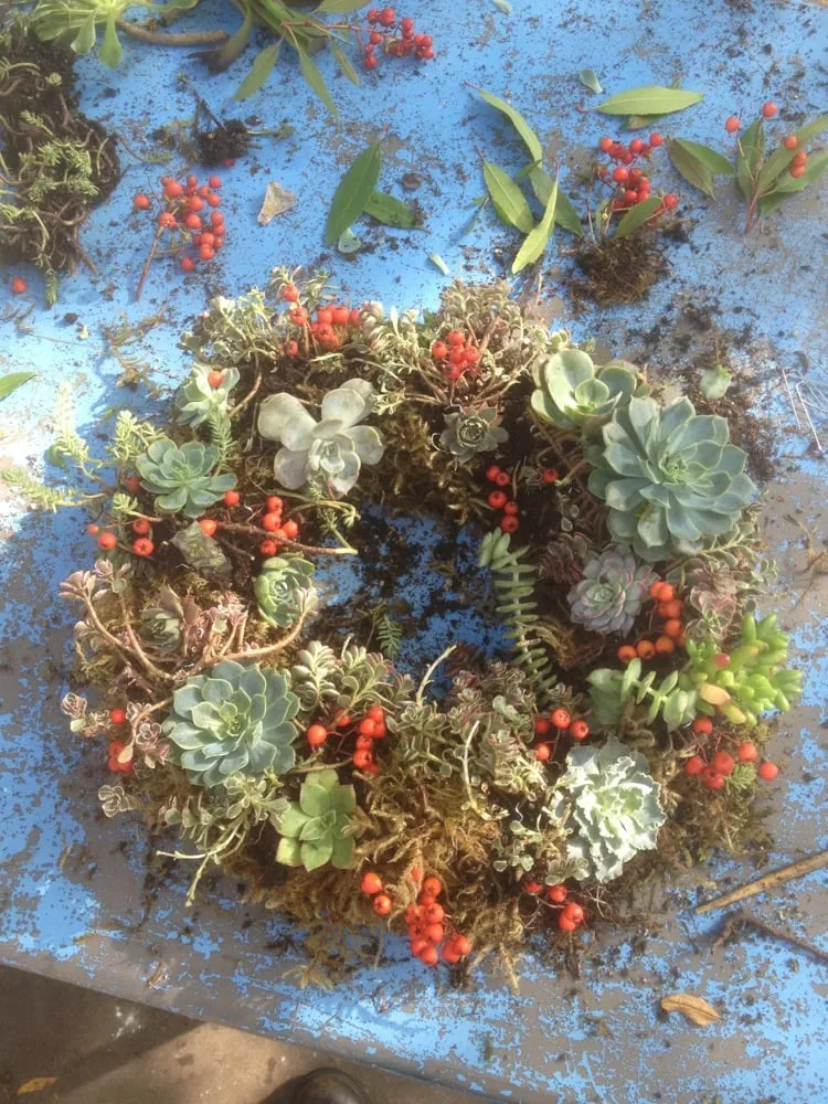 Reliable landscape design experts serving San Juan Capistrano, CA - Goin Native Therapeutic Gardens