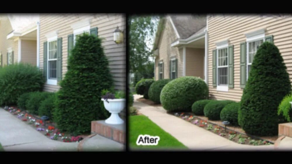 Affordable lawn care service experts serving Belle Chasse, LA - Goin Yard