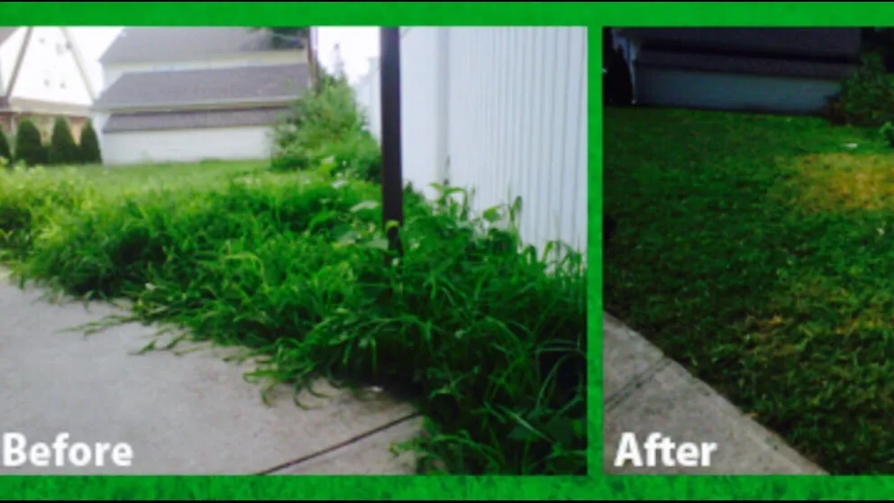 Reliable lawn care service in Belle Chasse, LA - Goin Yard