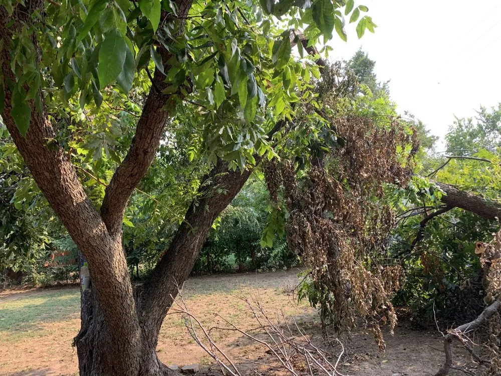 Professional garden landscaping in Moore, OK - Goin’ Yard Lawncare