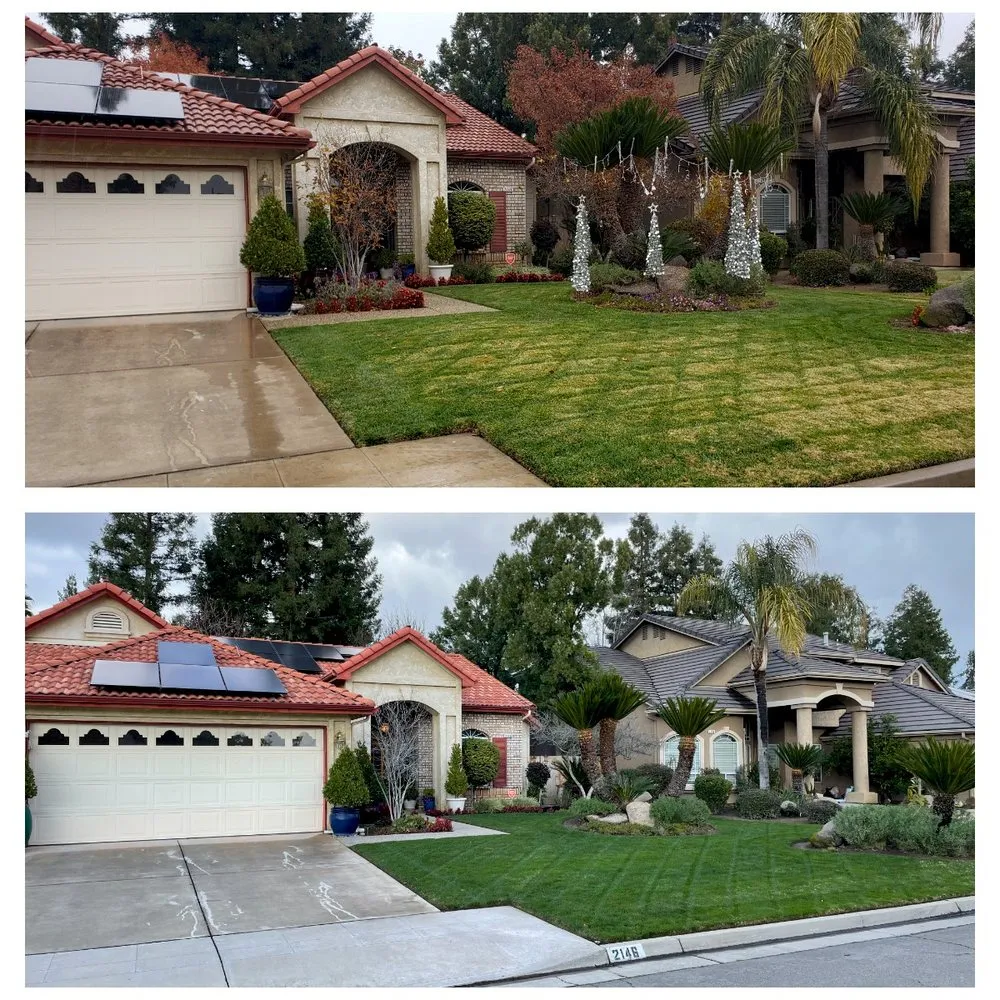 Expert landscape design in Fresno, CA - Going Green Gardening