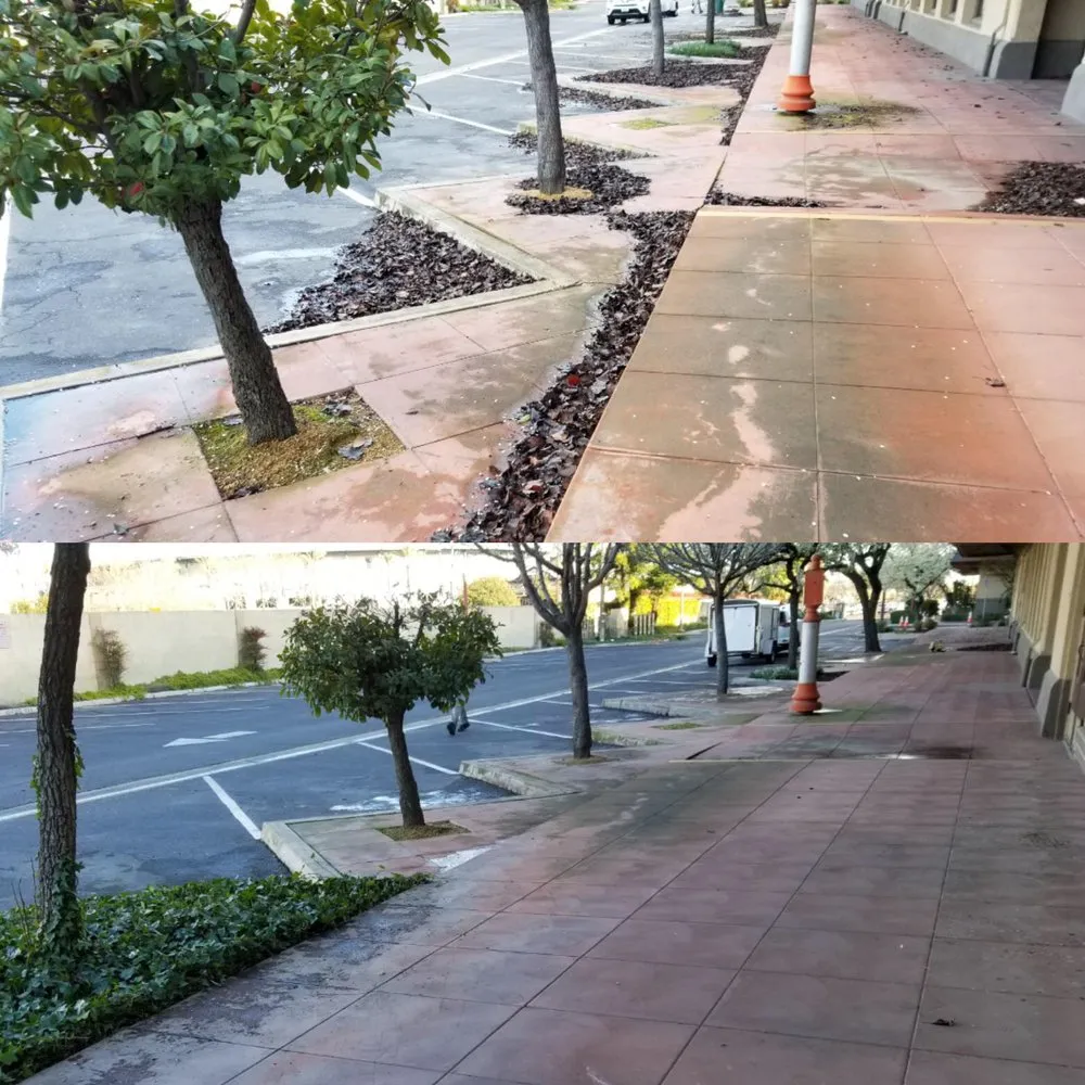 Affordable lawn care service for homes across Fresno, CA - Going Green Gardening