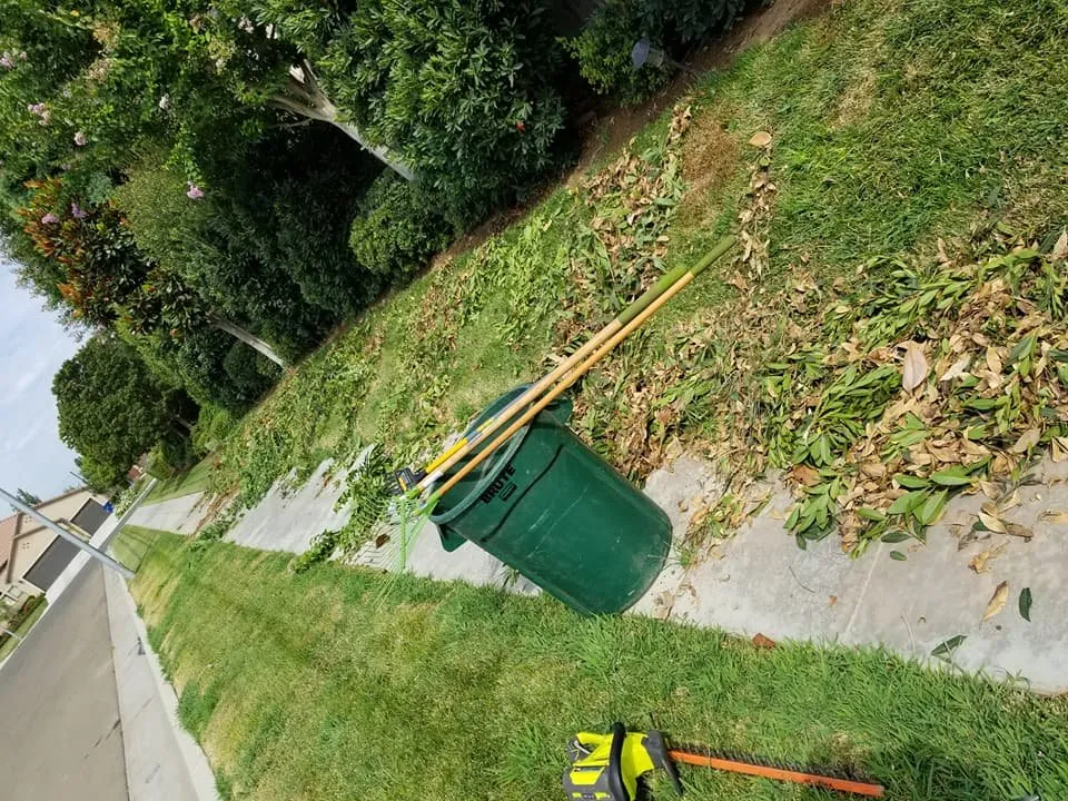 Top-rated yard cleanup service for homes across Fresno, CA - Going Green Gardening