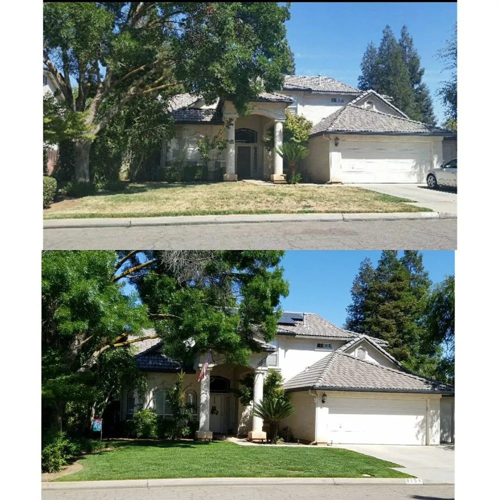 Affordable residential landscaping experts serving Fresno, CA - Going Green Gardening