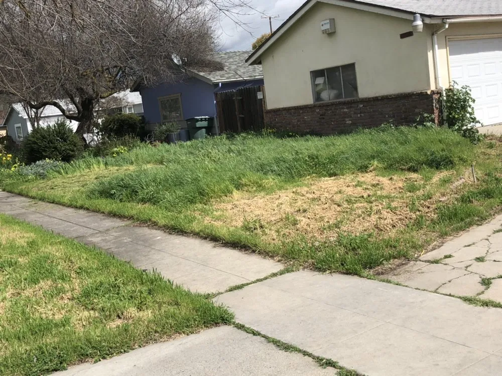 Professional yard maintenance for homes across Fresno, CA - Going Green Gardening