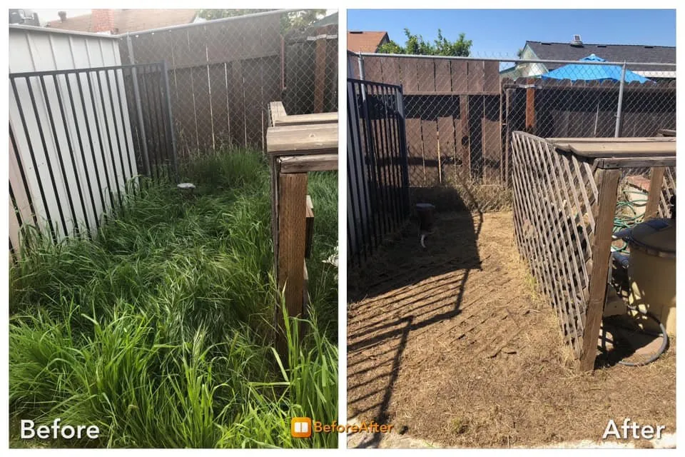 Expert outdoor landscaping experts serving Fresno, CA - Going Green Gardening