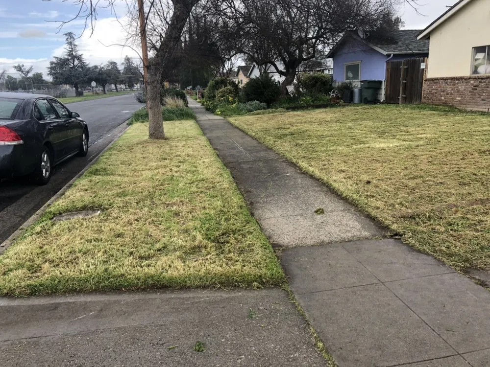 Affordable yard cleanup service with custom design across Fresno, CA - Going Green Gardening