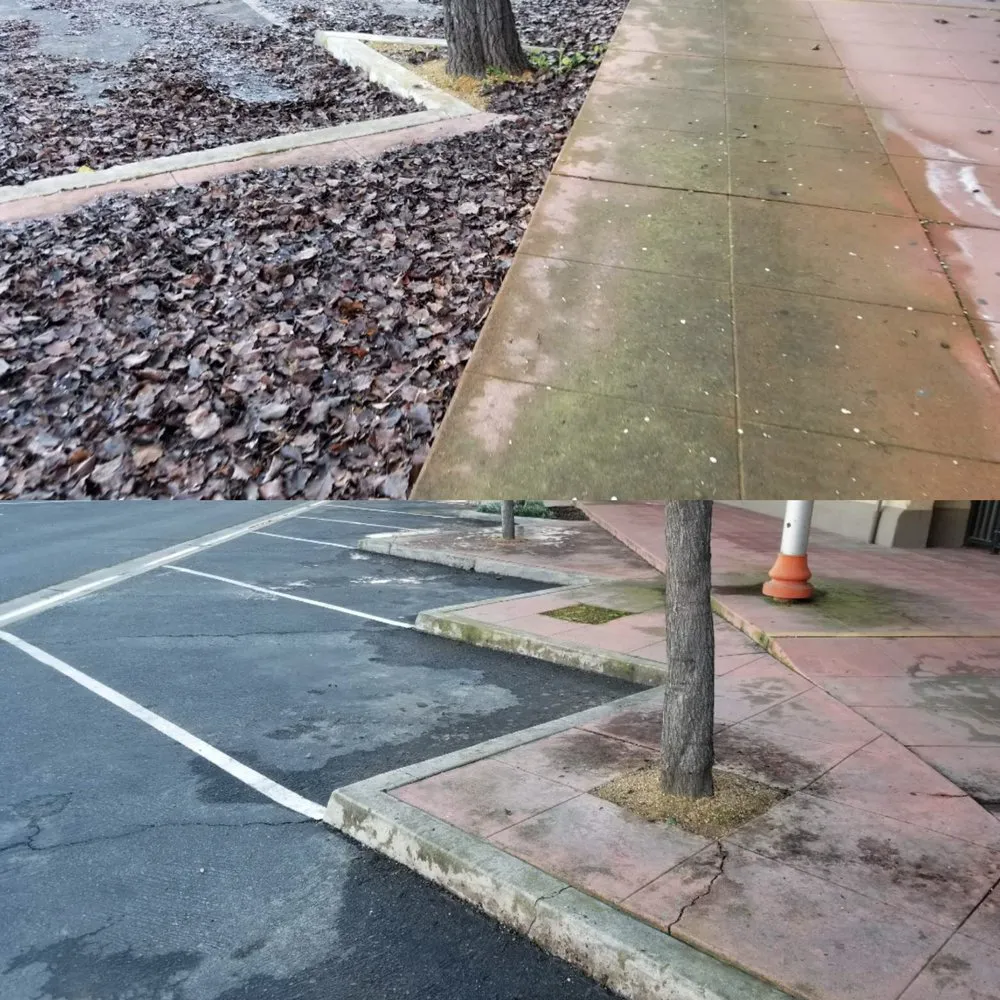 Affordable garden landscaping experts serving Fresno, CA - Going Green Gardening