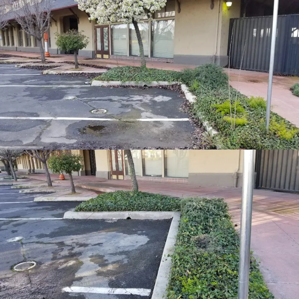 Local outdoor landscaping in Fresno, CA - Going Green Gardening