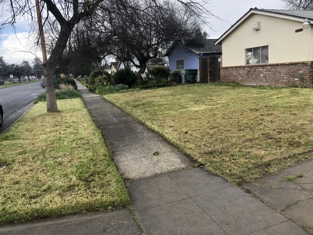 Reliable landscaping services experts serving Fresno, CA - Going Green Gardening