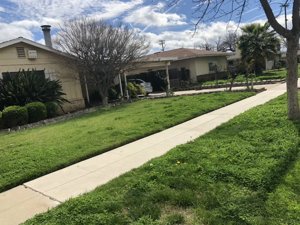 Reliable lawn care service in Fresno, CA by Going Green Gardening