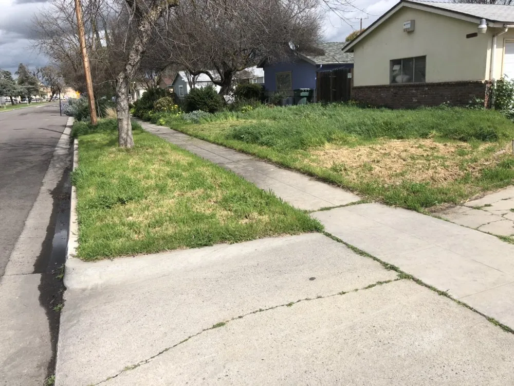 Expert garden landscaping with custom design in Fresno, CA by Going Green Gardening