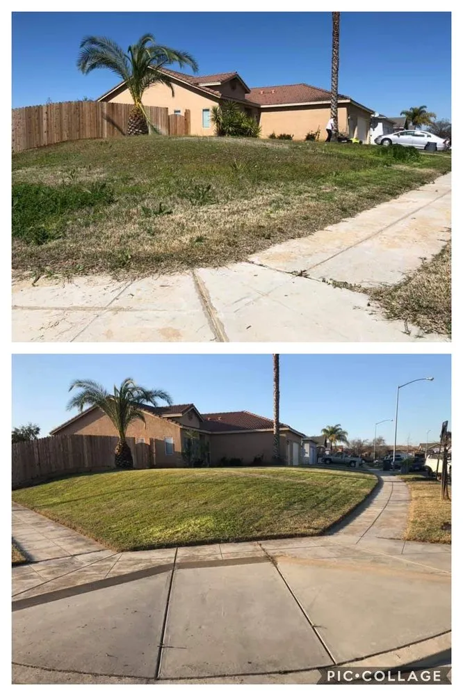 Affordable landscape design in Fresno, CA by Going Green Gardening