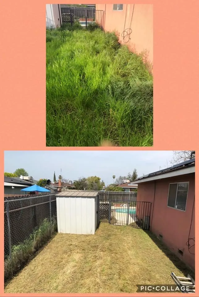 Custom yard maintenance for homes in Fresno, CA by Going Green Gardening