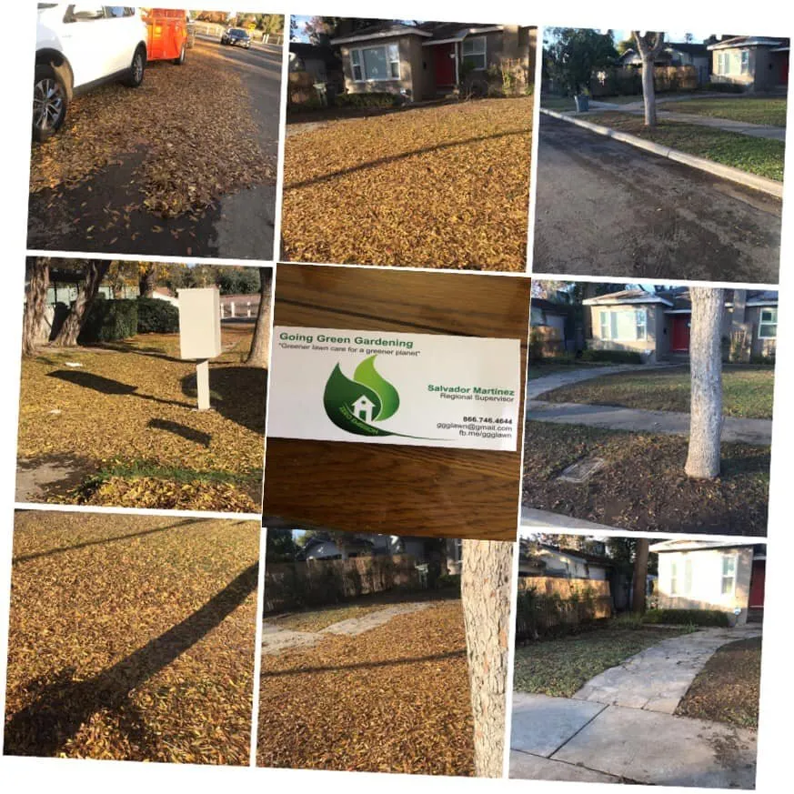 Reliable garden landscaping in Fresno, CA - Going Green Gardening