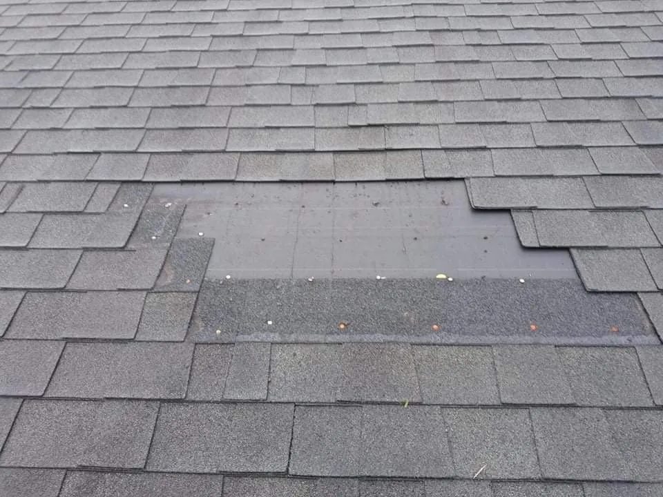 Local lawn mowing service experts serving Mobile, AL - Going Green Home Services