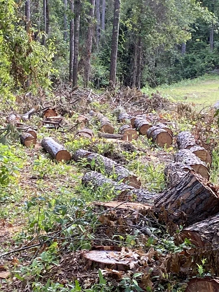 Affordable yard maintenance experts serving Mobile, AL - Going Green Home Services