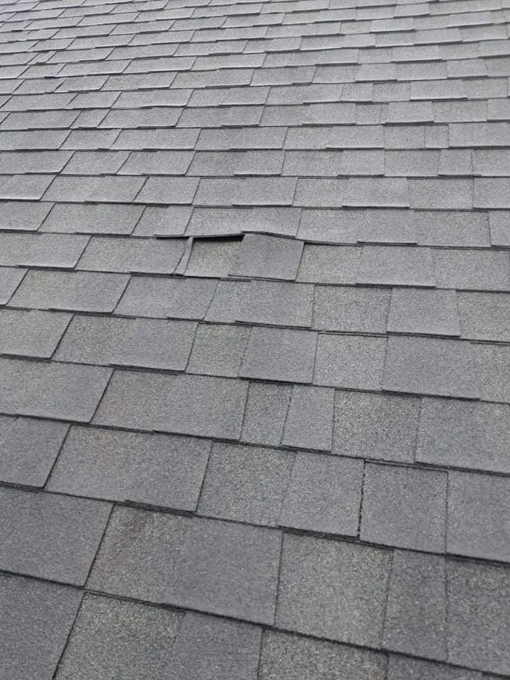 Custom lawn mowing service in Mobile, AL - Going Green Home Services