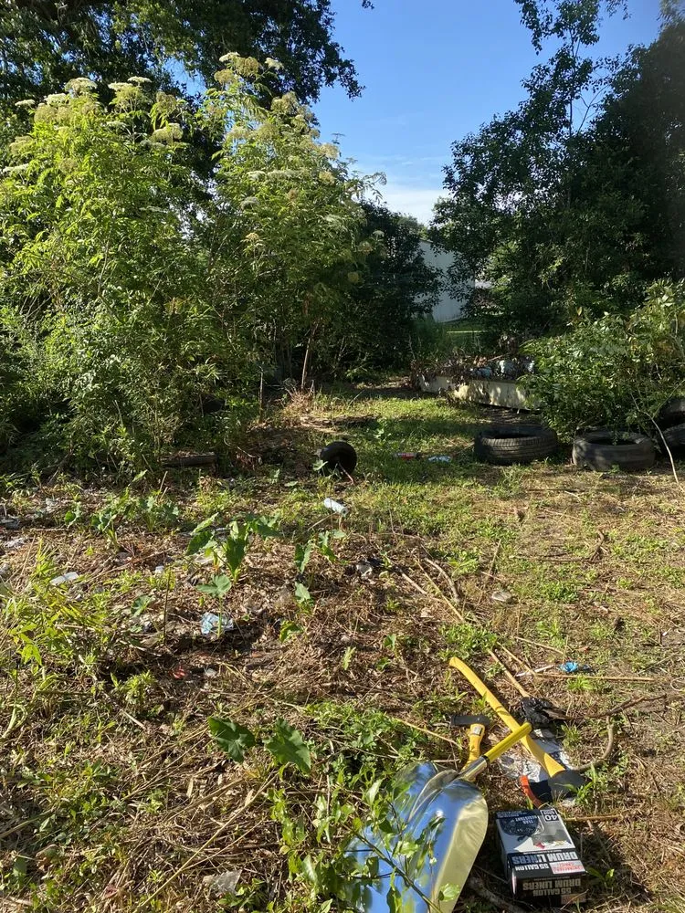 Top-rated landscaping services experts serving Mobile, AL - Going Green Home Services