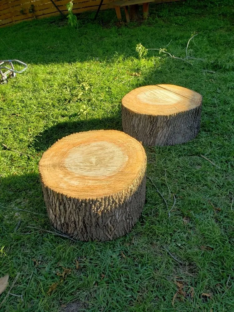 Reliable garden landscaping for outdoor upgrades across Del Valle, TX - Going Green Landscaping Co.