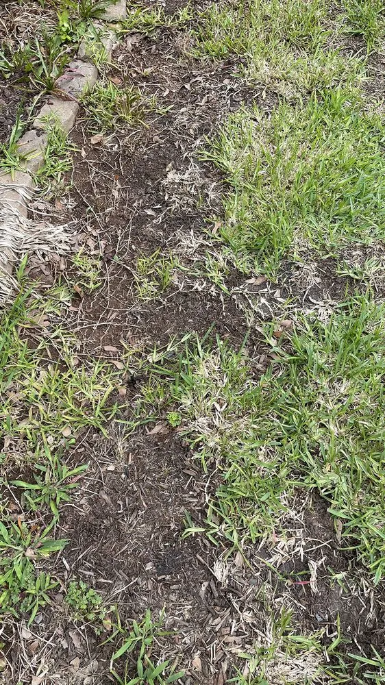 Custom landscaping services in Shreveport, LA - Going Green Lawn and Landscaping