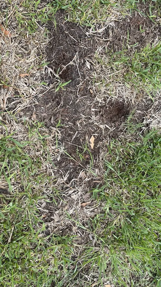 Top-rated yard cleanup service with custom design across Shreveport, LA - Going Green Lawn and Landscaping