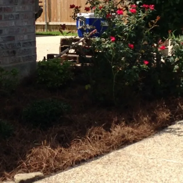 Reliable landscape installation in Shreveport, LA by Going Green Lawn and Landscaping