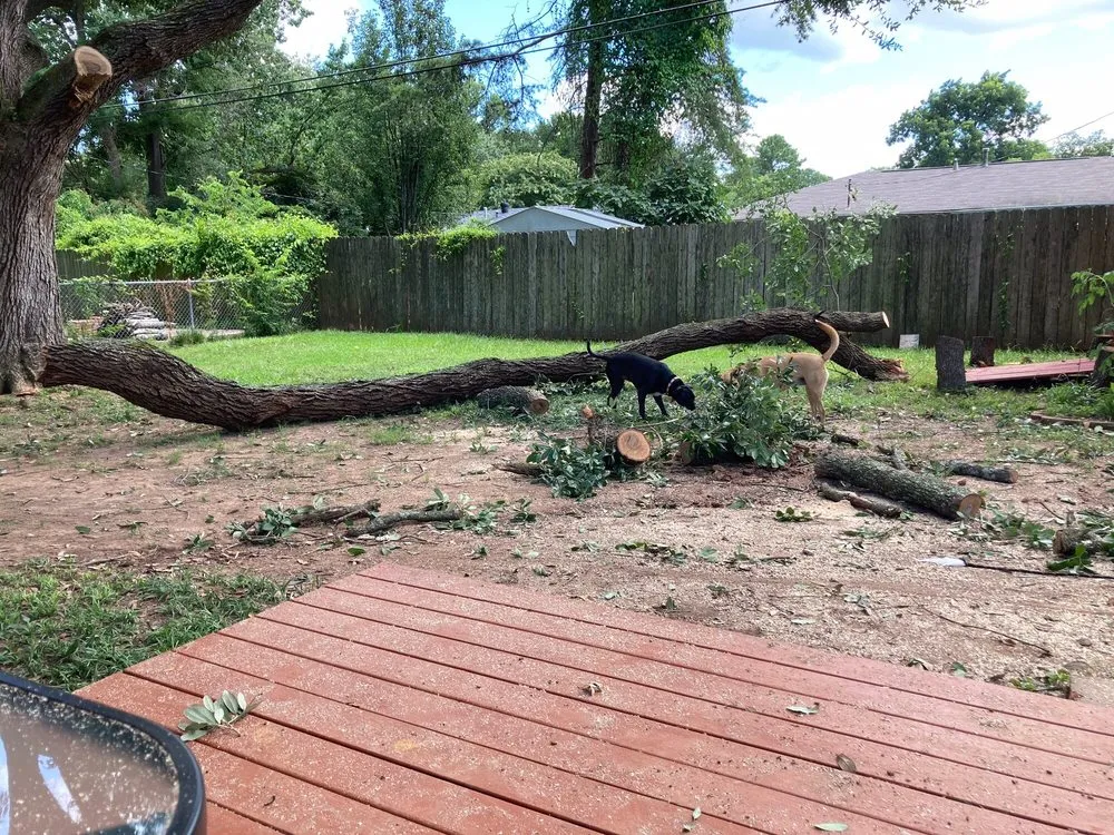 Affordable landscape installation in Shreveport, LA by Going Green Lawn and Landscaping