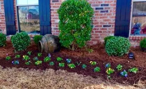 Top-rated outdoor landscaping in Shreveport, LA - Going Green Lawn and Landscaping