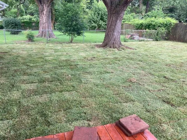 Local yard maintenance in Shreveport, LA by Going Green Lawn and Landscaping