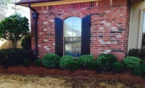 Affordable lawn mowing service for year-round maintenance across Shreveport, LA - Going Green Lawn and Landscaping