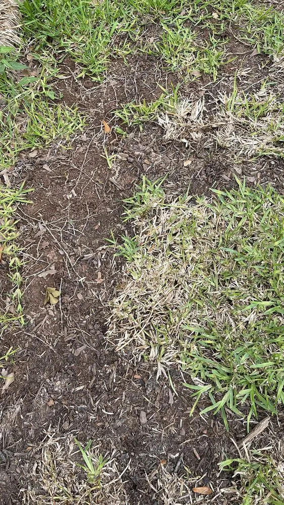 Affordable garden landscaping experts serving Shreveport, LA - Going Green Lawn and Landscaping