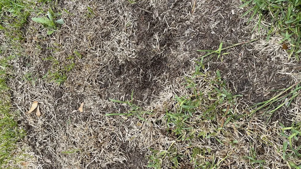 Expert garden landscaping in Shreveport, LA by Going Green Lawn and Landscaping