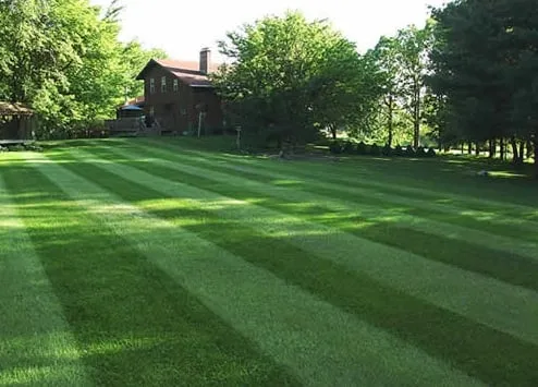 Local outdoor landscaping experts serving Cedar Hill, MO - Going Green Lawn Services