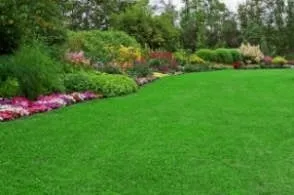 Local outdoor landscaping in Cedar Hill, MO by Going Green Lawn Services