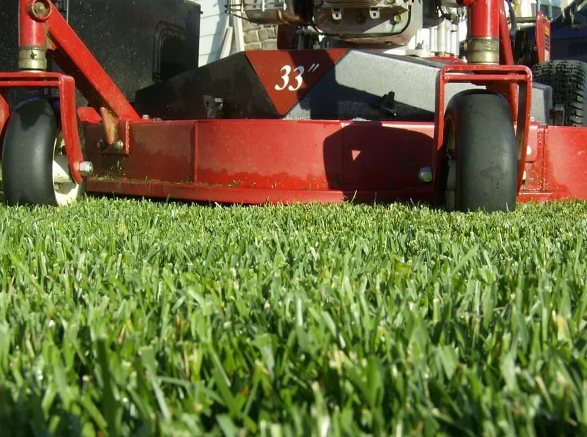 Trusted yard cleanup service with custom design in Cedar Hill, MO by Going Green Lawn Services