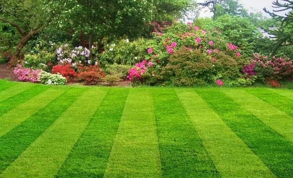 Expert landscaping services in Cedar Hill, MO by Going Green Lawn Services